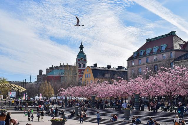 Kungsträdgården